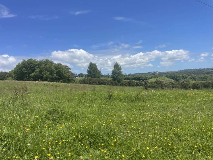 63 Follies Way Dairy Flat_4