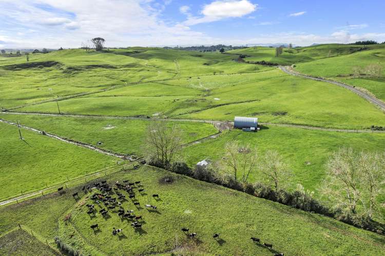 197 Broughton Road Ruawaro_24