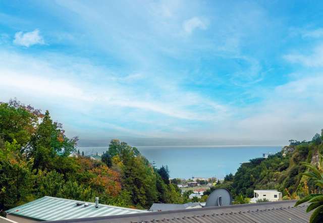 78 Milton Road Bluff Hill_3