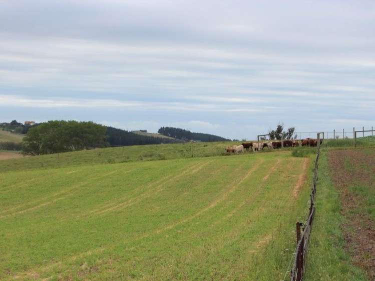 333 Doake Road Levels Valley_8