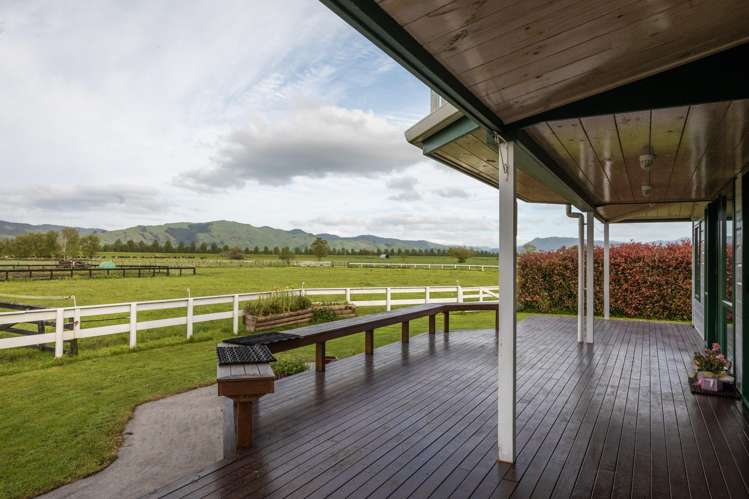 108 Old Netherton Rd Netherton Paeroa Paeroa_28