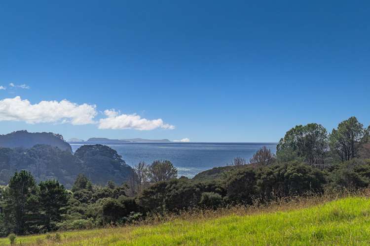 425n Boat Harbour Road Whenuakite_31