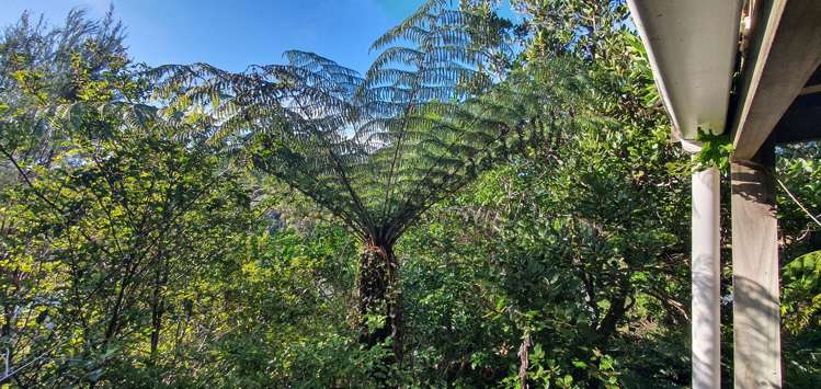 Lot 135/DP4961 North Cove Kawau Island_18