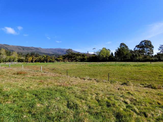 1 Hawes Street Waimangaroa_2