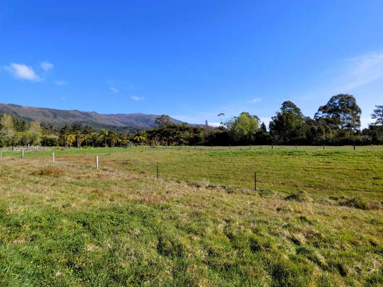 1 Hawes Street Waimangaroa_2