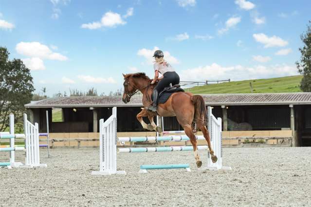 154 Muriwai Valley Road Waimauku_1