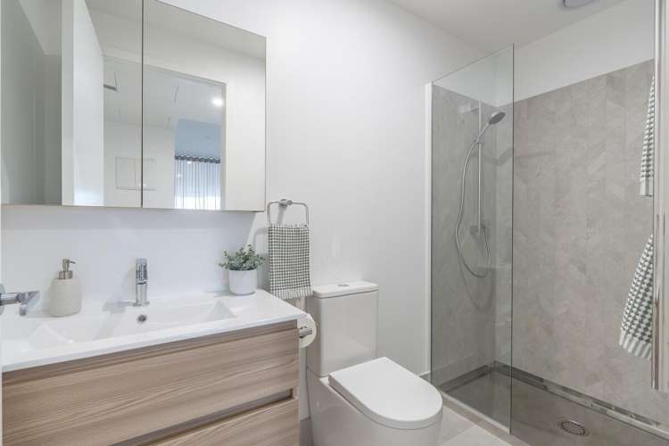 2a Te Ara Taurapa, Pt Chevalier, Auckland 1022 Point Chevalier_5