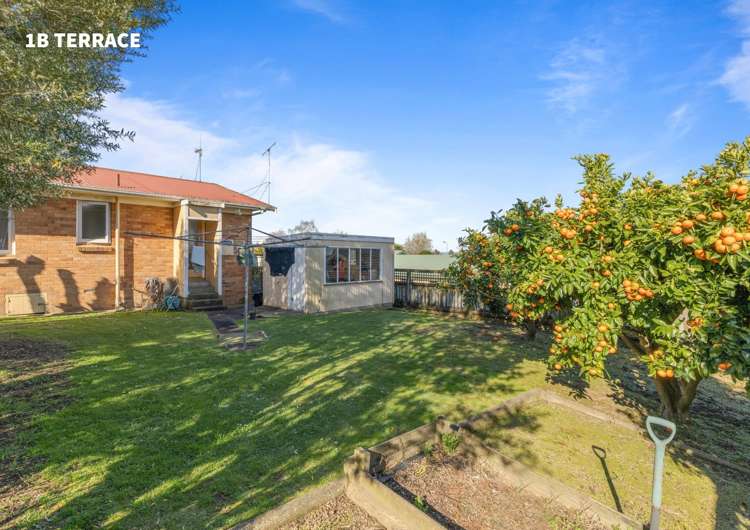 1A Terrace Avenue Morrinsville_9