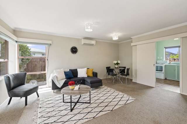 2/149 Astley Avenue New Lynn_2