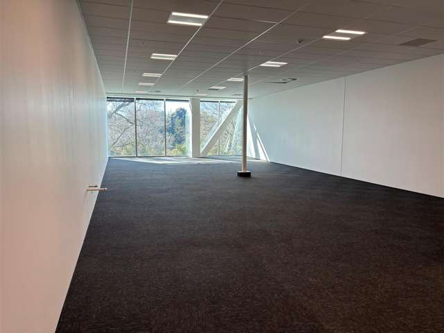 Tenancy A2, GF 17 Grantham Street Hamilton Central_3