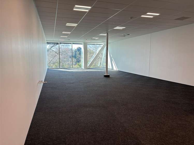 Tenancy A2, GF 17 Grantham Street Hamilton Central_3