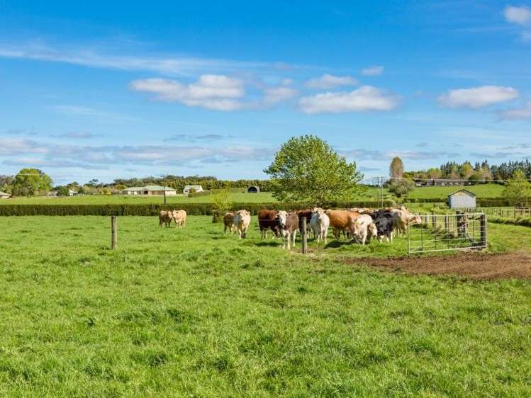 403 Te Ahu Ahu Road Waimate North_47