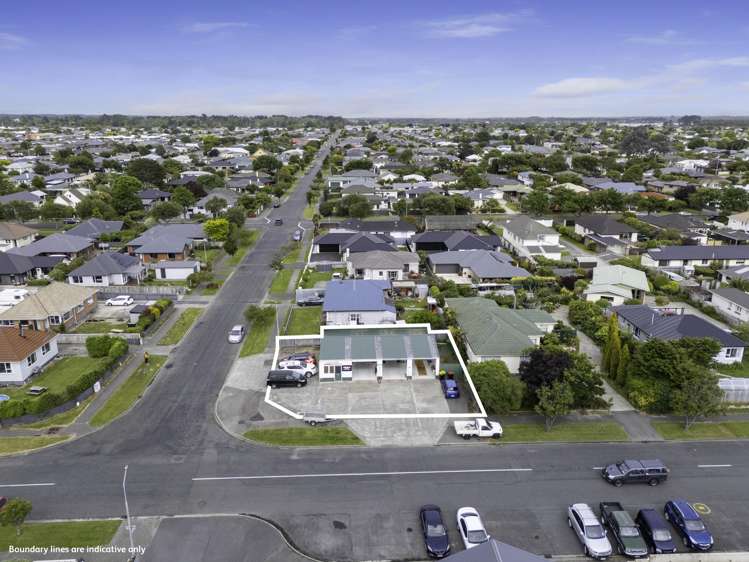 46 Ward Street Waverley_6