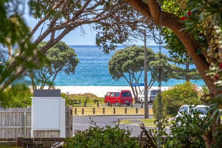 205 Onemana Drive Onemana_19