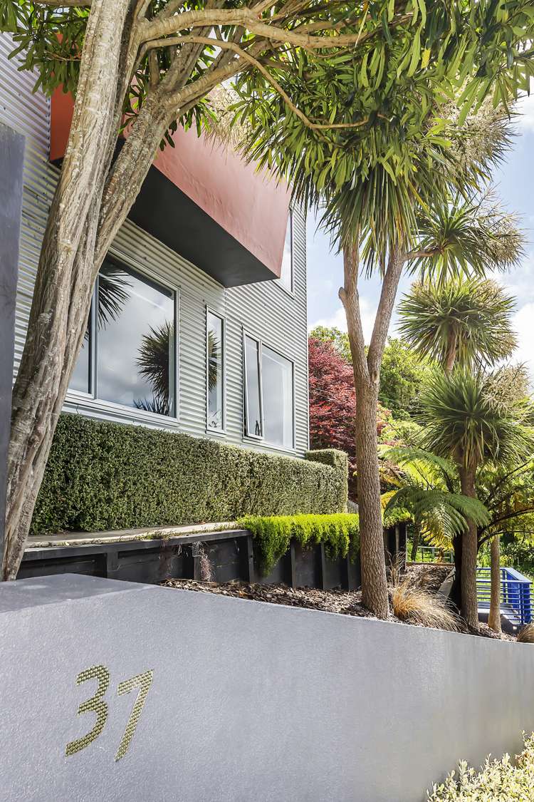 37 Whaui Street Vogeltown_18