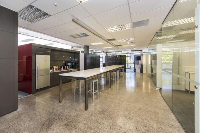 31 Spring Street Freemans Bay_2