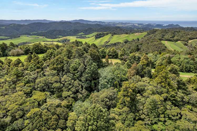 123 Waipipi Road Whananaki_44