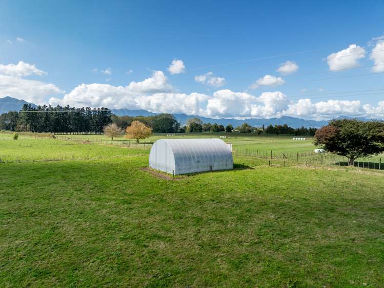 137 Seddon Road Waitoa MatamataPiako Rural Property For Sale