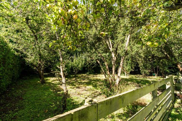 17 George Street Milton_30