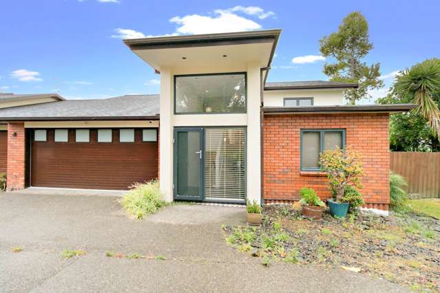 509d Hillsborough Road Mount Roskill_1
