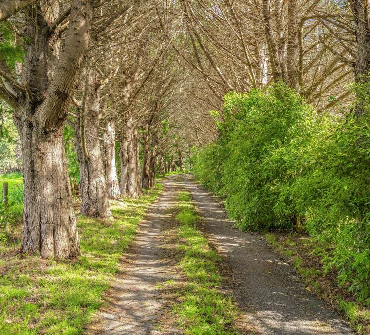 48 Eucalyptus Way Paraparaumu_3