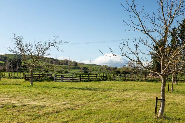 417 Upper Plain Road Masterton_8