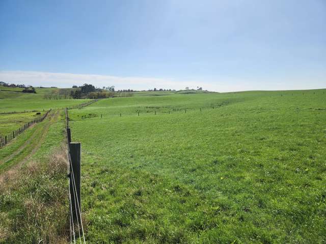 579 Hetherington Road Rotongaro_2