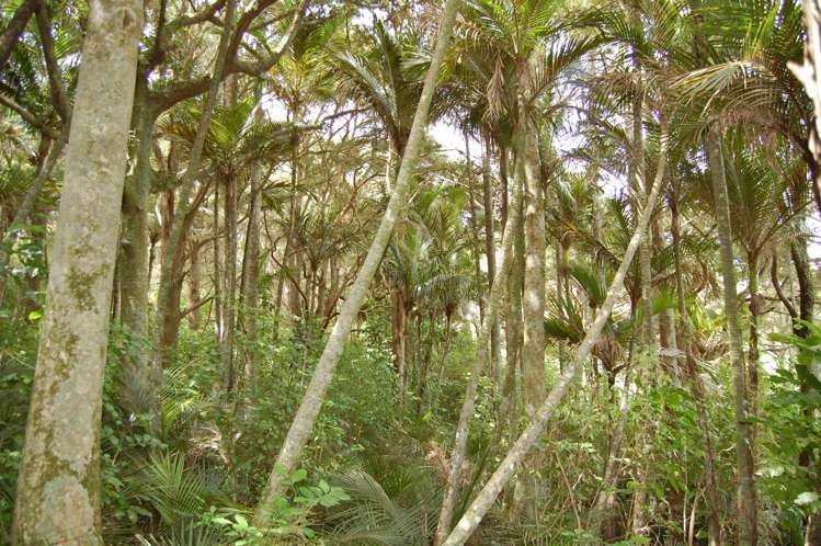 280c Baldrock Road Kaiwaka_23