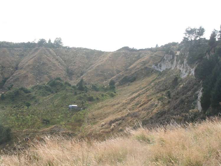 1231 Okahutiria Road Waverley_5