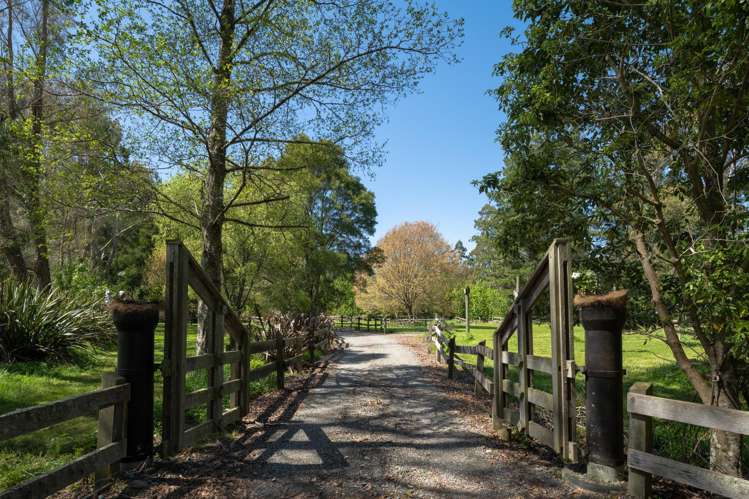 408 Onamalutu Road Wairau Valley_24