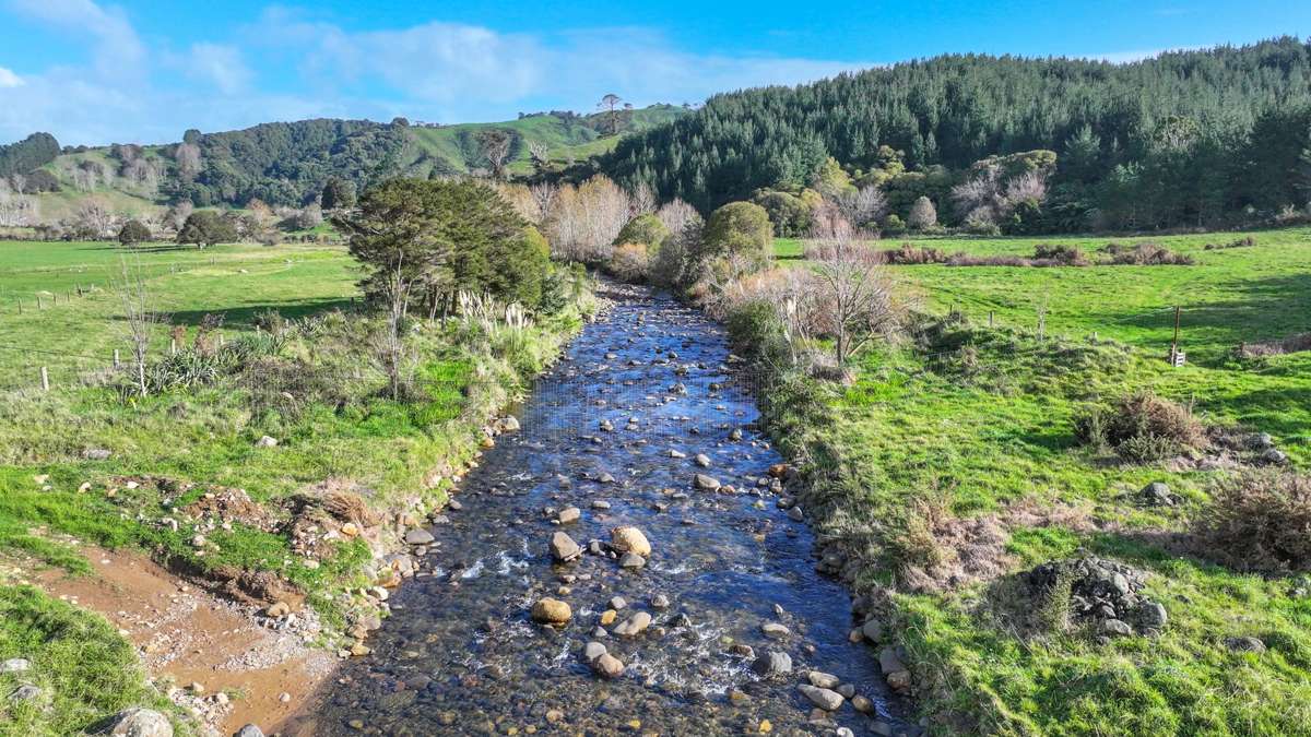 131 Puriri Valley Road_2