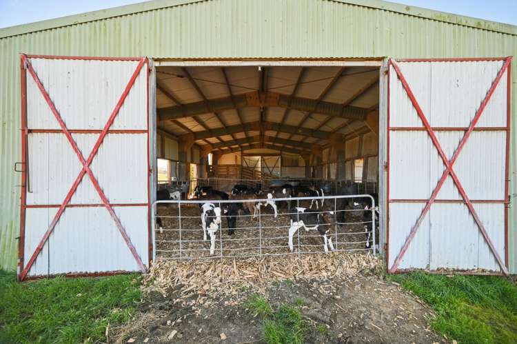 224 Handcock Road Reporoa_12