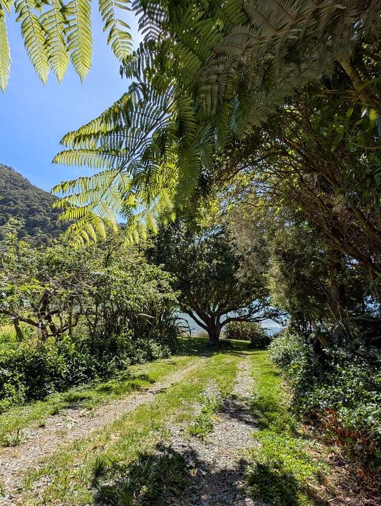 1744 Kaiuma Bay Road Kaiuma Bay_22