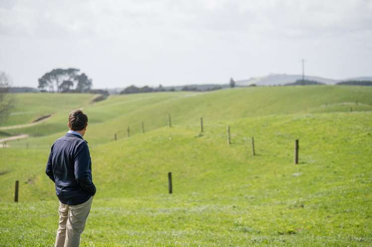 753 Pongakawa Bush Road Pongakawa_12