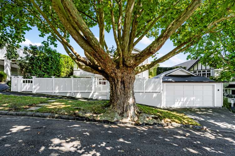 14 Entrican Avenue Remuera_22