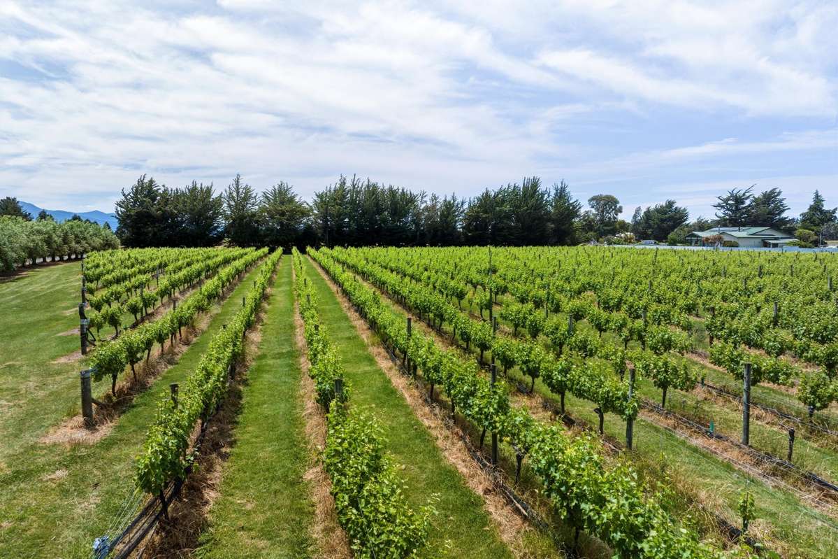 686 Dillons Point Road_2