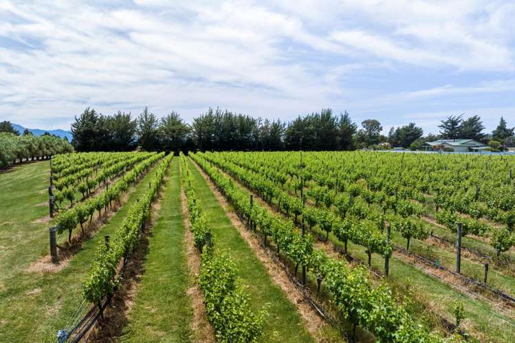 686 Dillons Point Road Blenheim_6