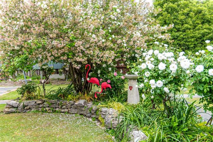 206 Gallien Street Saint Leonards_19