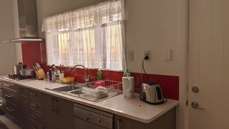 575 Hillsborough Road Mount Roskill_5