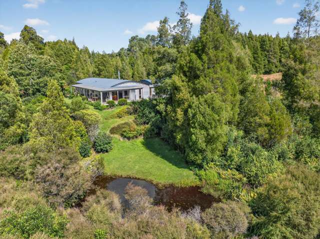 118 McPhail Road Oropi_3