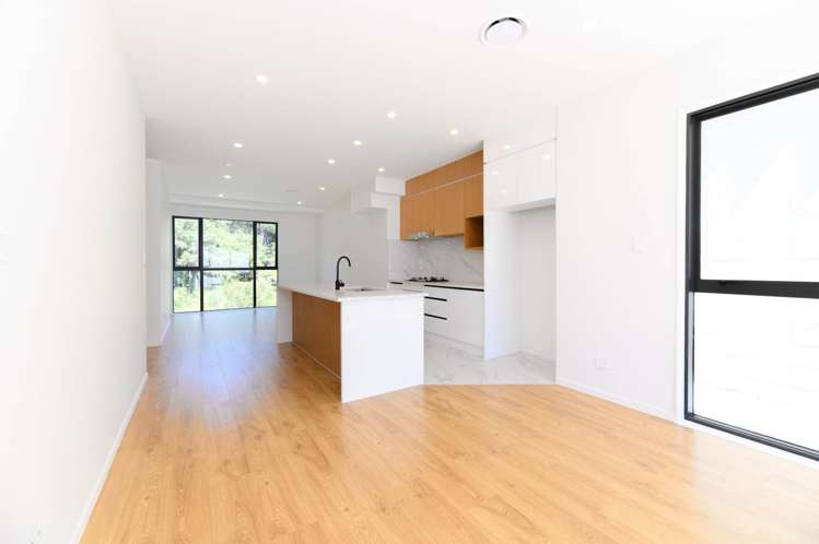 43 Waka Street Albany Heights_3