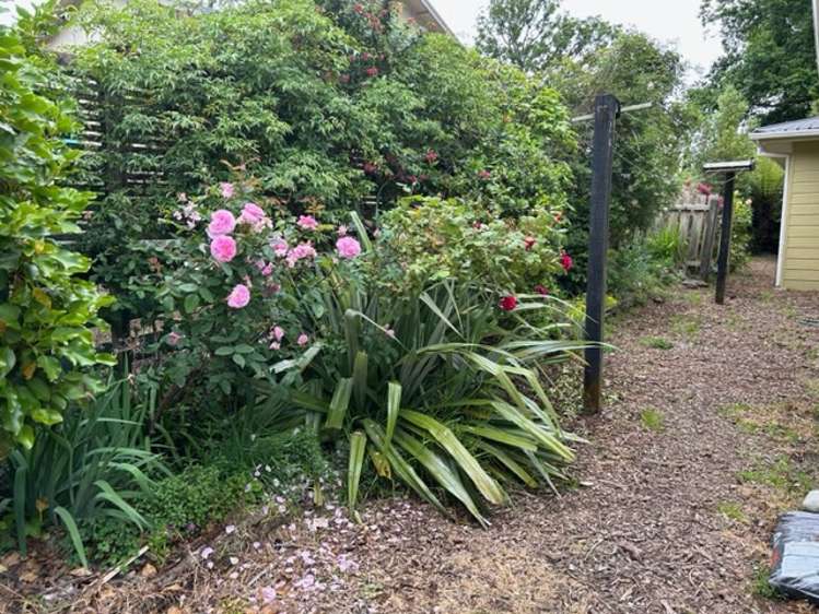 24b Dawson Street Pahiatua_18