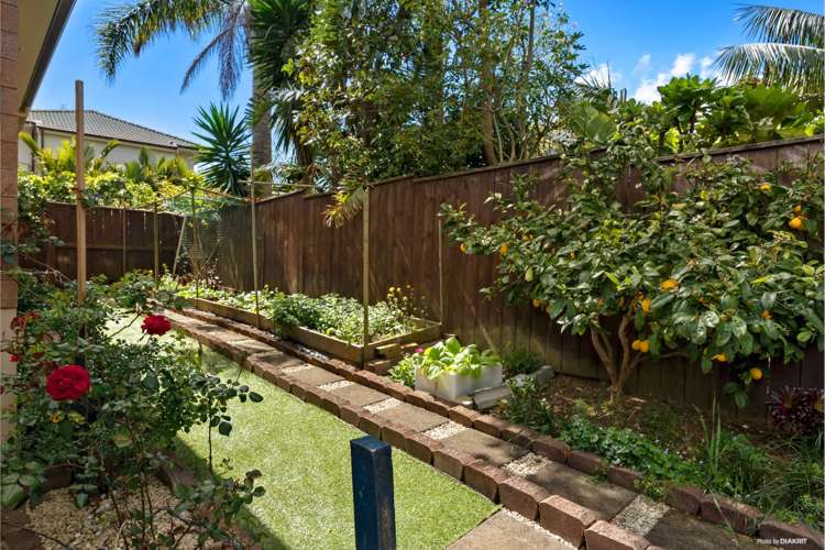 1d Tranquility Rise Mellons Bay_5