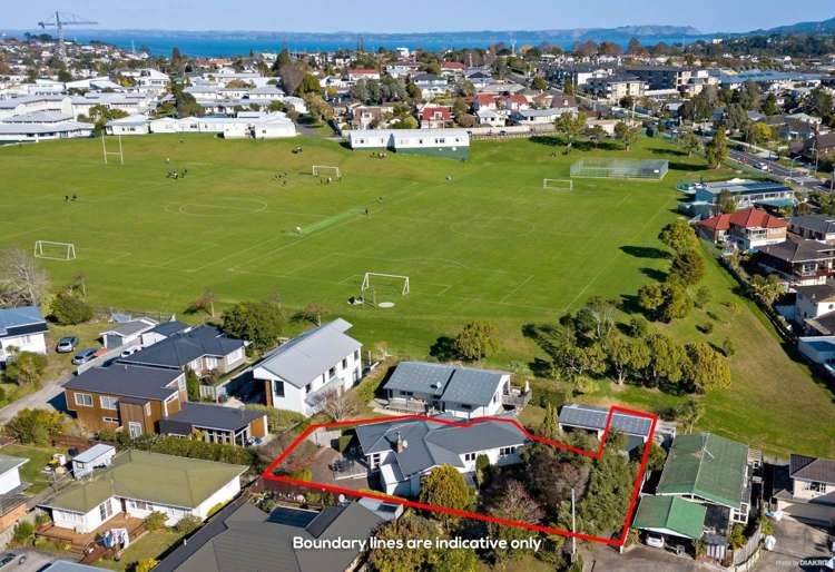 17 Kimber Hall Avenue Mount Roskill_8