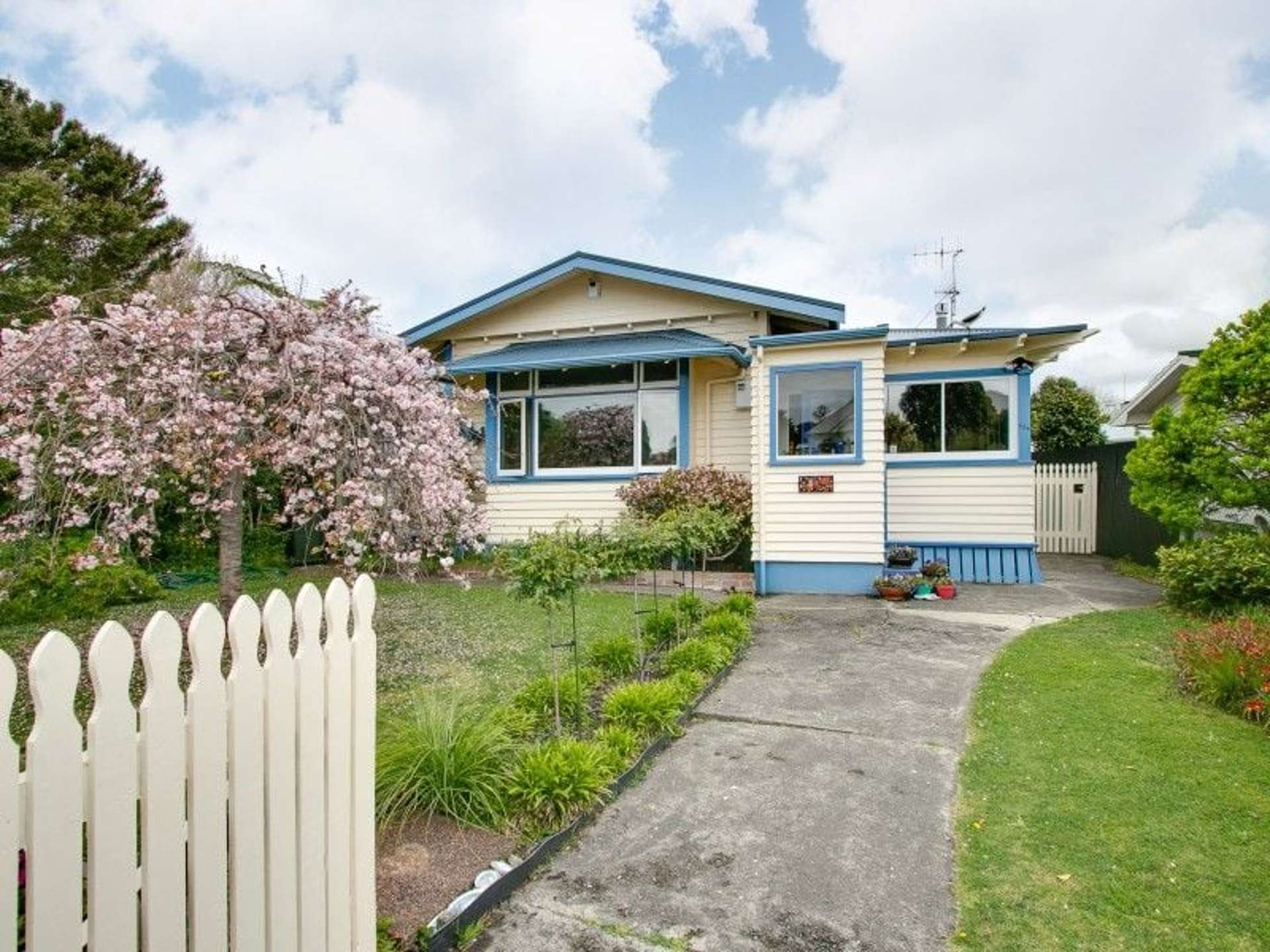 154 Nelson Crescent Napier South Napier City Houses for Rent