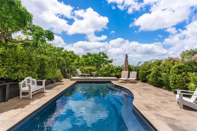 136 Potter Road Dairy Flat_17