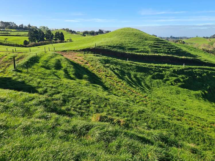 801 Mangorei Road Mangorei_13