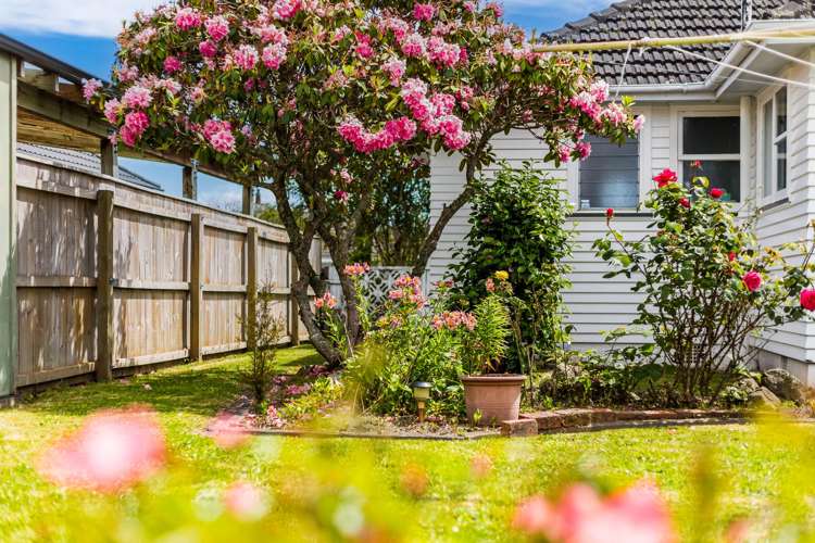 13 Mccurdy Street Elderslea_17