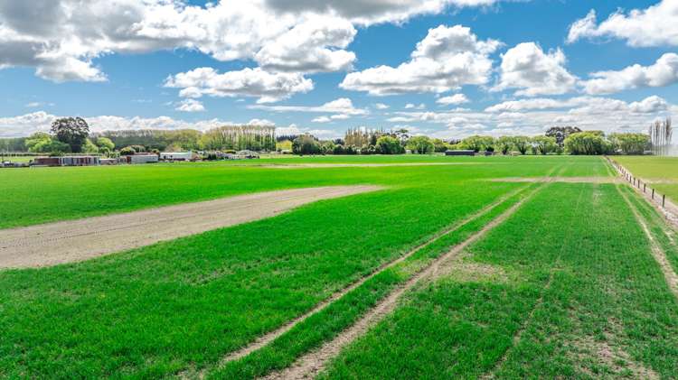 8 Barretts Road Seadown_13