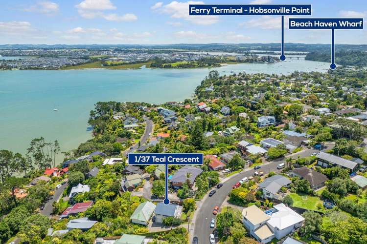 1/37 Teal Crescent Beach Haven_17